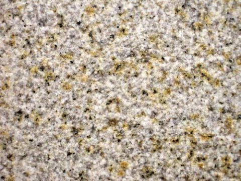 点击查看详细信息<br>标题：荔枝面3 阅读次数：906